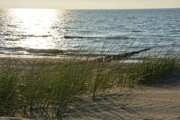 Strand mit Dünengras und Holzbuhnen an der Nordsee beim Sonnenuntergang 