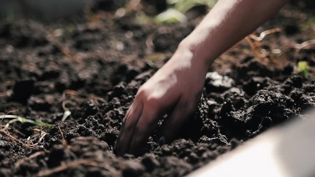 Child digging in soil in slow motion on a sunny afternoon