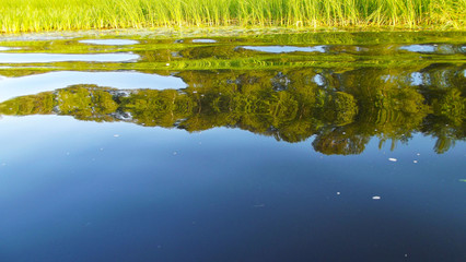 Beautiful reflection in the water.Trees on the river Bank.