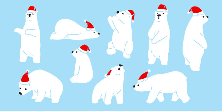 Bear vector Christmas polar bear Santa Claus icon hat cartoon character logo teddy illustration doodle