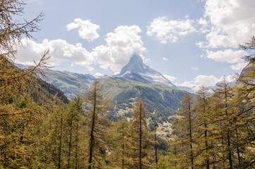 Zermatt, Findeln, Wanderweg, Wallis, Alpen, Matterhorn, Lärchenwald, Waldweg, Findelschlucht, Findelbach, Findelbach, Sommer, Schweiz