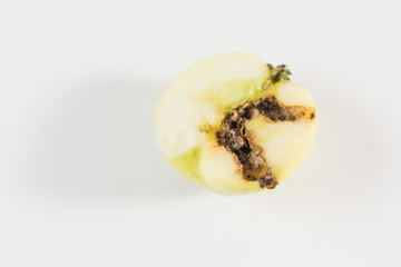 Rotten wormed apple on a white background.