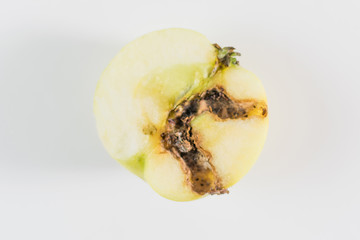 Rotten wormed apple on a white background.