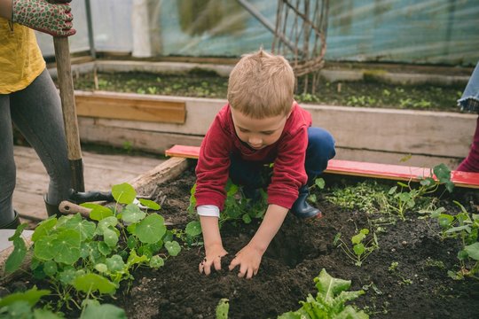 Kid planting in greenhouse
