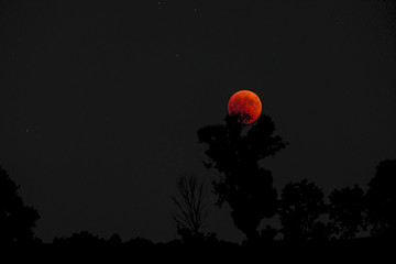 Eclissi Lunare © fonta83