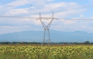 Electric transmission tower in sunflower field