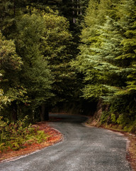 Obraz premium Estrada gerês, Portugal