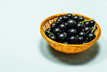 Close up little basket with black currant on white background