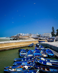 Blue boats and seagull at the Essaouira, Morocco