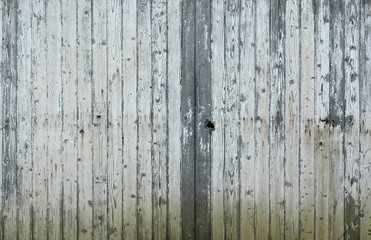 Painted Wood Background Texture