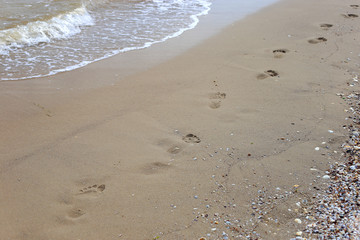 Footprints in the sand.