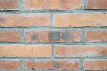 Brick wall