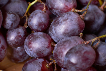 Fototapeta premium ripe grapes harvest the grapes of the vineyards of the winery grapes red green natural