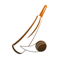 Cricket racket and ball vector illustration graphic design