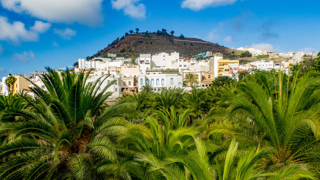 Blick auf eine Stadt hinter dem Palmenhain auf Gran Canaria