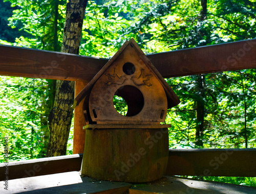 Bird Feeder Hanging On The Tree House For Birds Birdhouse Open