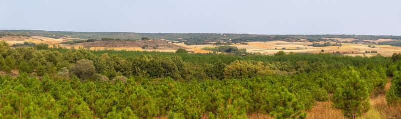 Fototapeta na wymiar Panorama de Paisaje con campos de cultivo y bosques