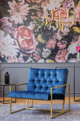 Royal blue armchair with gold frame standing on carpet in real photo of grey sitting room interior...