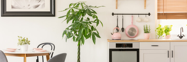 Plant in the middle of a white kitchen interior and dining room interior with pastel pink kitchenware and a wooden table