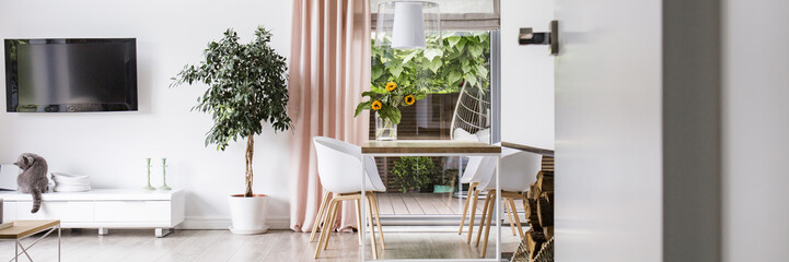 Real photo of white living room interior with fresh plant, dining table with flowers and cat...