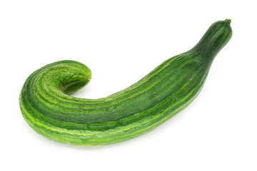 Salatgurke gekrümmt