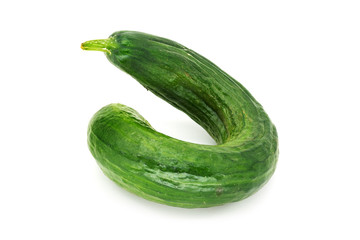 Salatgurke gekrümmt