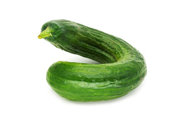 Salatgurke gekrümmt
