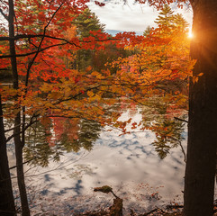 A calm lake in the forest with brightly colored autumn trees and reflections in the water. USA. Maine.
