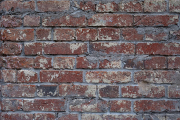 Braun brick wall texture