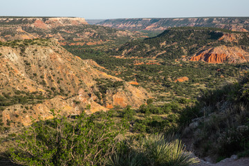 Fototapeta premium Park stanowy Palo Duro Canyon