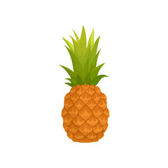 Whole pineapple with tuft of green stiff leaves. Juicy tropical fruit. Flat vector for promo poster or product packaging