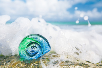 glass tropical sea  shell with waves under sun light