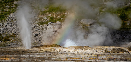 Erupting geysir with rainbow in Yellowstone National Park
