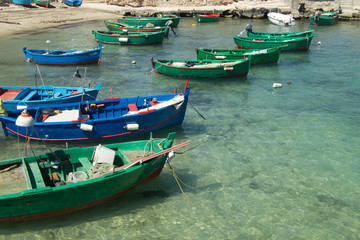 Barche di pescatori