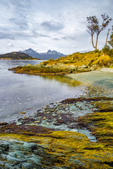 Fototapeta premium Beautiful landscape of lenga forest, mountains and lagoon at Tierra del Fuego National Park, Patagonia
