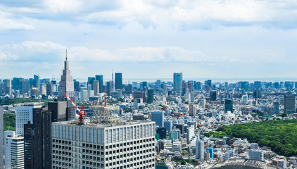 都庁から眺める東京都心部の町並み