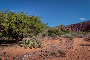 Quebrada de la Senorita desertic valley in Uquia Village at Quebrada de Humahuaca - Uquia, Jujuy, Argentina