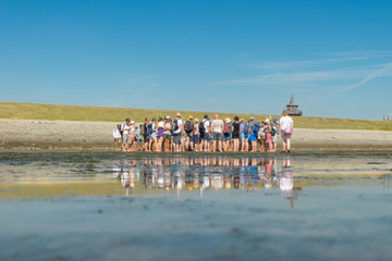 Erlebnis Wattwanderung im Wattenmeer der Nordsee, bei Dagebüll