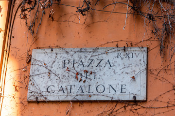 An old street sign in Rome, Italy, with vines and cracks on it