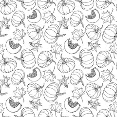 Seamless Endless Pattern of Pumpkin and Maple Leaves. Orange Pumpkins, Flower, Seeds. Autumn or Fall Vegetable Harvest Collection. Realistic Hand Drawn High Quality Vector Illustration. Doodle Style.