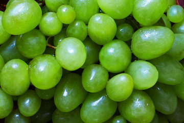 Background of freshly picked green grapes
