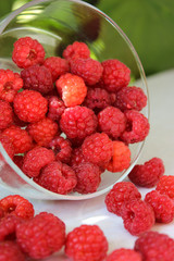 Raspberry berry on the bench