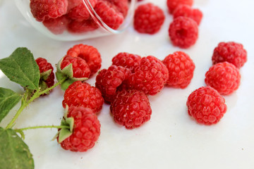 Raspberry berry on the bench
