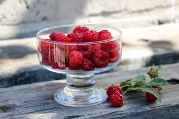 Raspberry berry on the bench