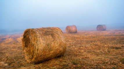 Sianokosy w Dolinie Narwi © podlaski49