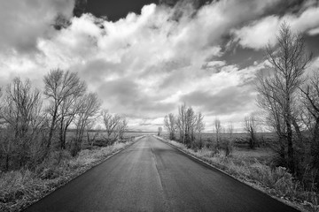 Black and white picture of a scenic road in the Grand Teton National Park, Wyoming, USA.