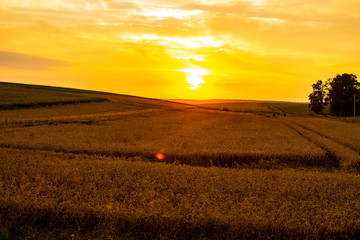 Beautiful sunset over fields