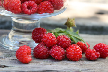 Raspberry berry on the bench