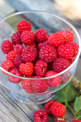 Raspberry berry on the bench