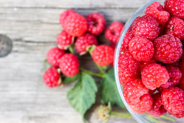 Raspberry berry on the bench